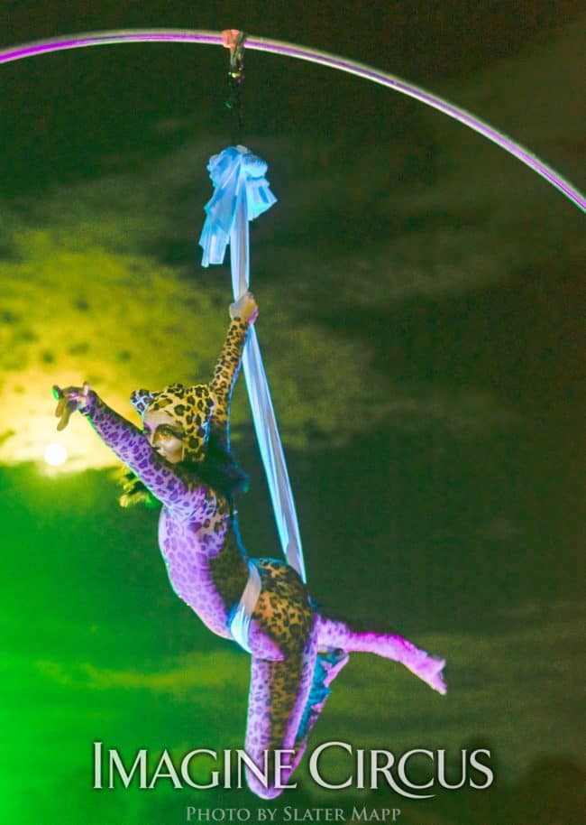 Aerial Dancer, Silks, Hammock, Safari, Wild, Cheetah, Leopard Costume, Katie, Floyd Fest, Music Festival, Imagine Circus Performer, Photo by Slater Mapp