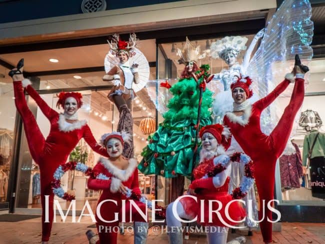 Group Photo, Winter Holiday Entertainment, Reindeer, Christmas Tree Cutie, Snow Queen, Stilt Walkers, Acrobats, Cameron Village, Imagine Circus Performer, Photographer JLewis Media