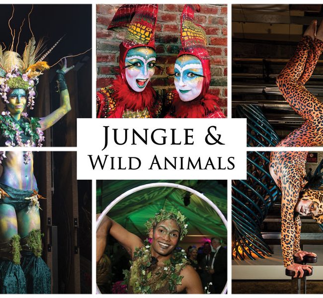 Jungle and Wild Animals, Imagine Circus Entertainment