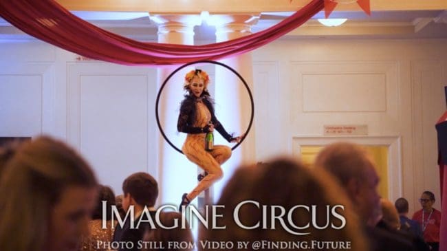 Aerial Bartending, Lollipop Lyra, Gold, Yellow, Cirque, Oddball Gala, Imagine Circus, Performer, Whitney, Photo still from video by Finding Future