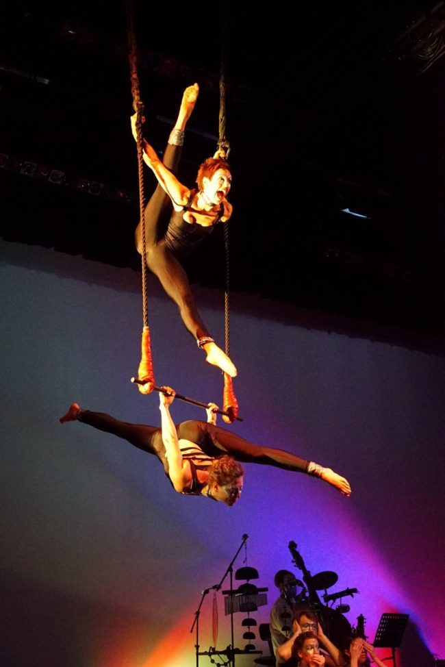 Light Pours In | Aerial Performance | Partner Aerials | Trapeze | Imagine Circus | Cirque | Raleigh, NC