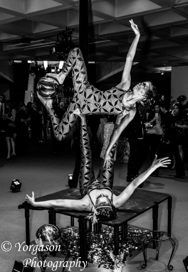 Metallic | Acrobatic Performance | Partner Acro | Duo | Imagine Circus | Cirque | Raleigh, NC