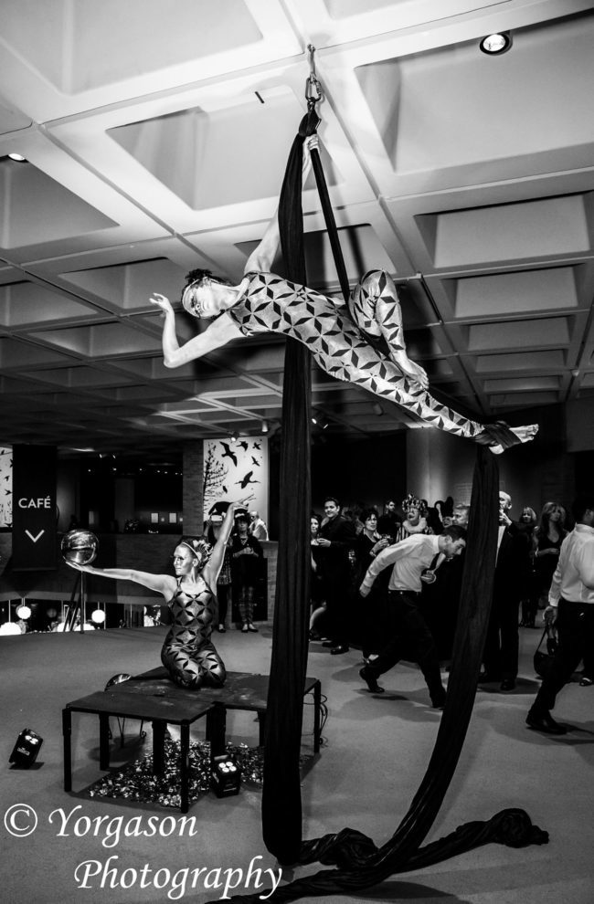 Katie | Kaci | Metallic | Aerial Silks | Aerial Dancer | Living Statue | Escher Art | Imagine Circus | Cirque | Raleigh, NC