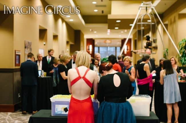 Aerial Bartender, Aerial Birdcage, Custom Apparatus, Brittany, Imagine Circus, Photo by Rachel Berbec