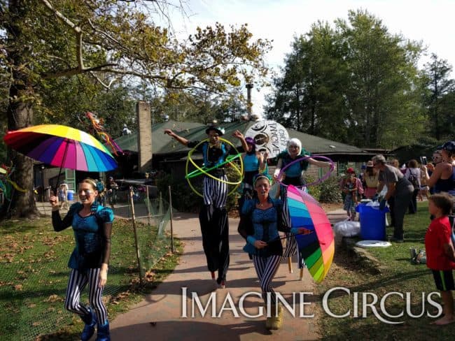 Stilt Walkers, Parade Performers, Katie, Kaci, Ben, Steph, Kaylan, Imagine Circus, LEAF Festival, Black Mountain, NC