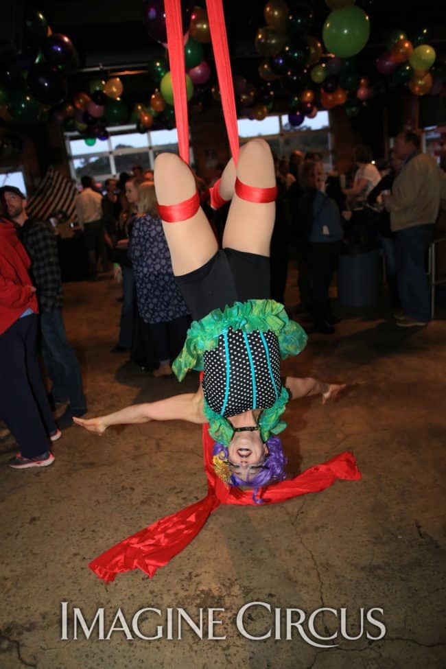 Aerial Silks, Aerial Dancer, Mardi Gras, Imagine Circus, Performer, Liz, Photo by Ted Lewis