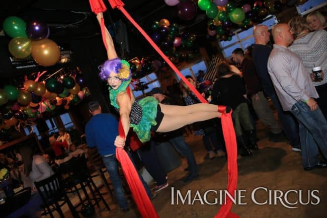 Aerial Silks, Aerial Dancer, Mardi Gras, Imagine Circus, Performer, Liz, Photo by Ted Lewis