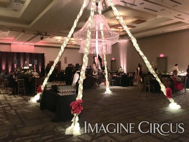 LED Aerial Rig, Aerial Chandelier, Aerialist, Imagine Circus