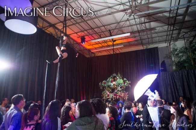 Aerial Dancer, Aerial Silks, Upscale Event, Performer, Kaci, Imagine Circus, Photo by Southern Love Studios