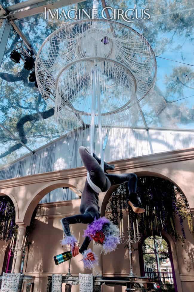 Aerial Bartender, Aerial Chandelier, Upscale Entertainment, Performer, Kaci, Imagine Circus