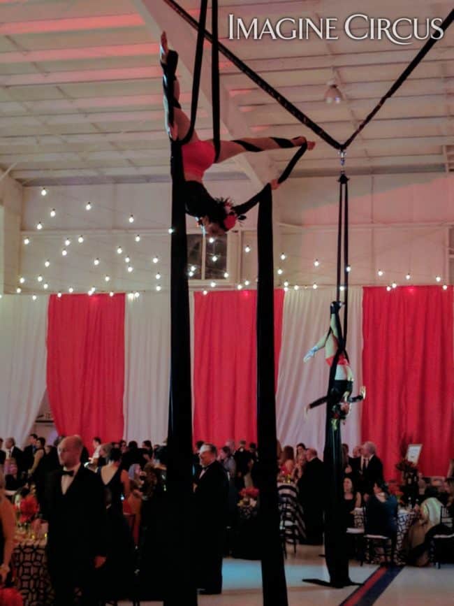 Aerial Silks, Aerialist, Upscale Event Entertainment, Wilmington, NC, Imagine Circus, Performer, Liz, Jennifer Simpson Photography