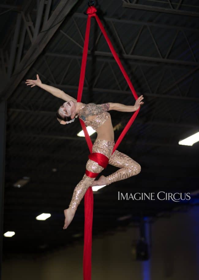 Aerial Silks, Aerial Dancer, Aerialist, Upscale Event, Charlotte, NC, Grand Opening, Imagine Circus, Performer, Brittany, Photo by Rick Belden