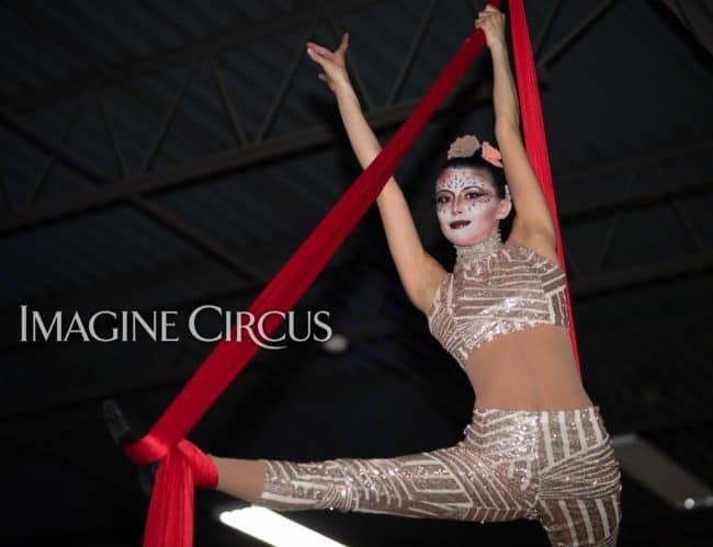 Aerial Silks, Aerial Dancer, Aerialist, Upscale Event, Charlotte, NC, Grand Opening, Imagine Circus, Performer, Kaci, Photo by Rick Belden