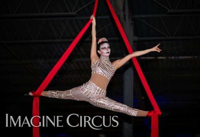 Aerial Silks, Aerial Dancer, Aerialist, Upscale Event, Charlotte, NC, Grand Opening, Imagine Circus, Performer, Kaci, Photo by Rick Belden