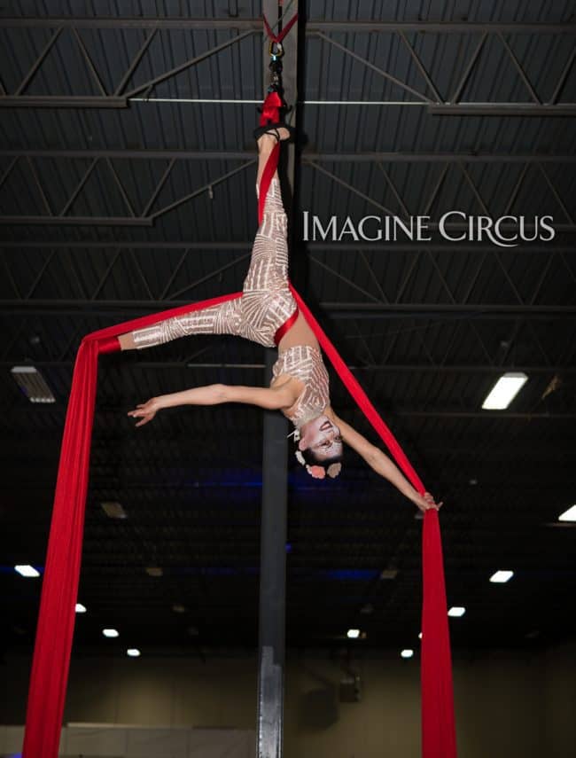 Aerial Silks, Aerial Dancer, Aerialist, Upscale Event, Charlotte, NC, Grand Opening, Imagine Circus, Performer, Kaci, Photo by Rick Belden