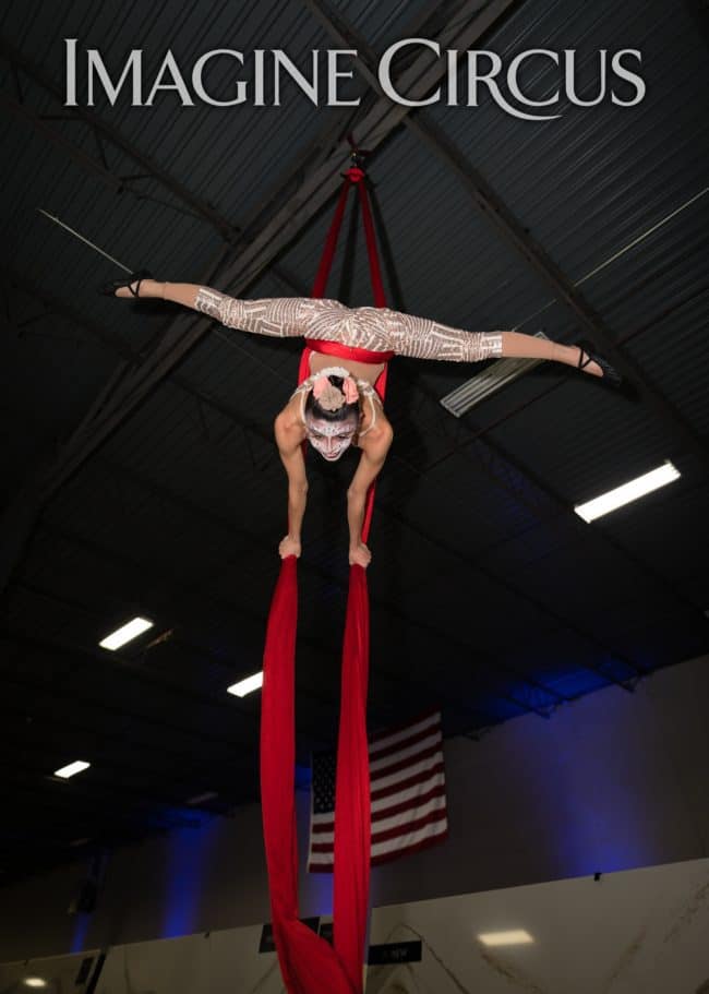 Aerial Silks, Aerial Dancer, Aerialist, Upscale Event, Charlotte, NC, Grand Opening, Imagine Circus, Performer, Kaci, Photo by Rick Belden