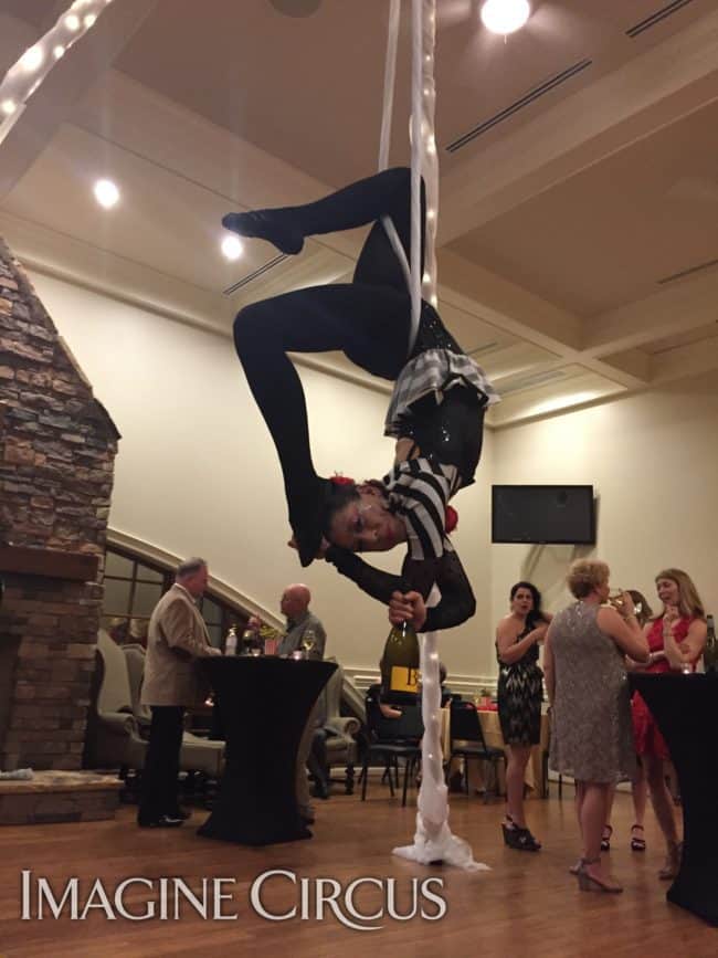 Aerial Bartender, LED Aerial Rig, Aerialist, Imagine Circus, Performer, Liz