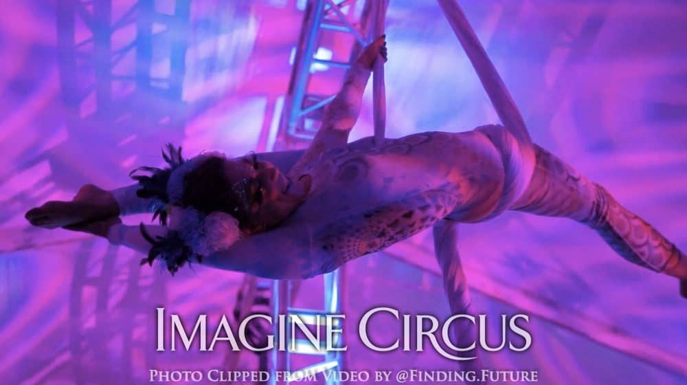 Aerial Dancers, Mermaid, Performer, Liz, Imagine Circus, Photo by Finding Future