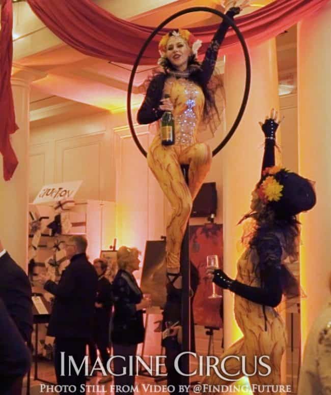 Gold, Yellow, Cirque Bird, Aerial Bartending, Lollipop Lyra, Oddball Gala, Imagine Circus, Performer, Whitney, Photo Still from Video by Finding Future