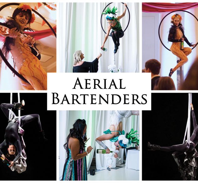 Aerial Bartenders, Imagine Circus Performers