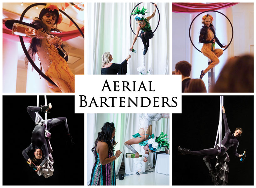 Aerial Bartenders, Imagine Circus Performers