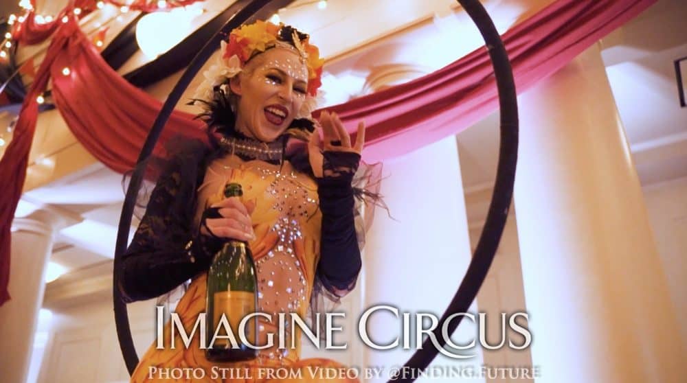 Aerial Bartending, Lollipop Lyra, Imagine Circus, Whitney, Gold, Yellow, Cirque, Bird, Oddball Gala, Photo Still from Video by Finding Future