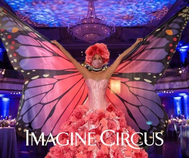 Pink & Purple Butterfly Isis Wings, Imagine Circus Entertainment