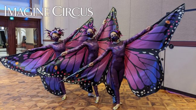 Butterfly Winged Dancers, Imagine Circus, Performers