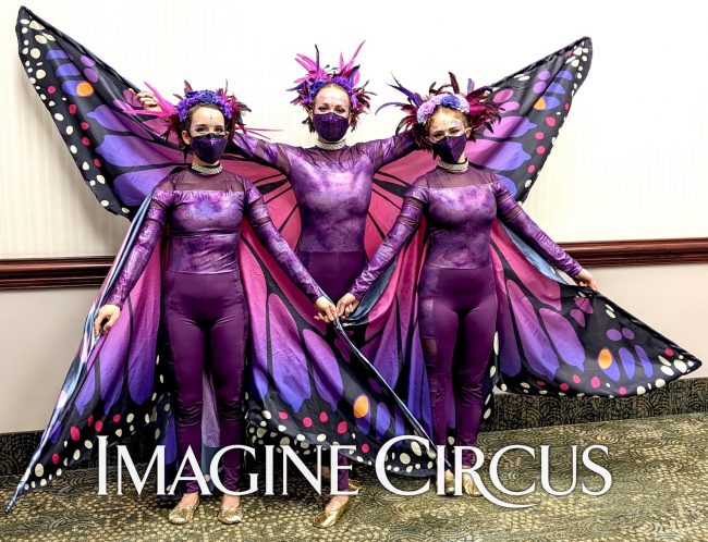 Butterfly Winged Dancers, Imagine Circus, Performers, Purple, Pink