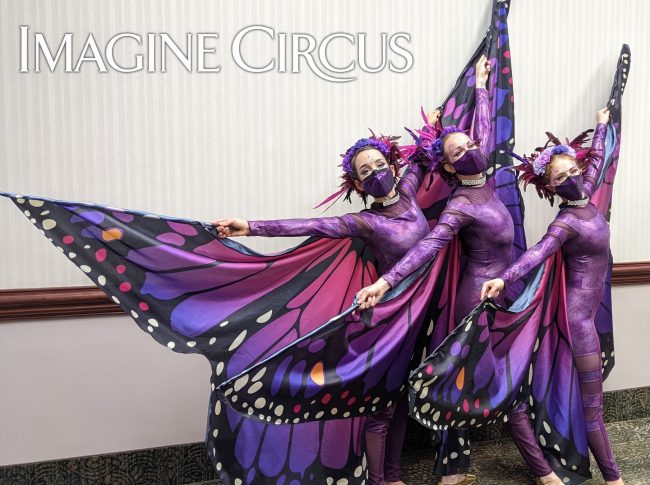 Imagine Circus Butterflies, Winged Dancers, Pink and Purple