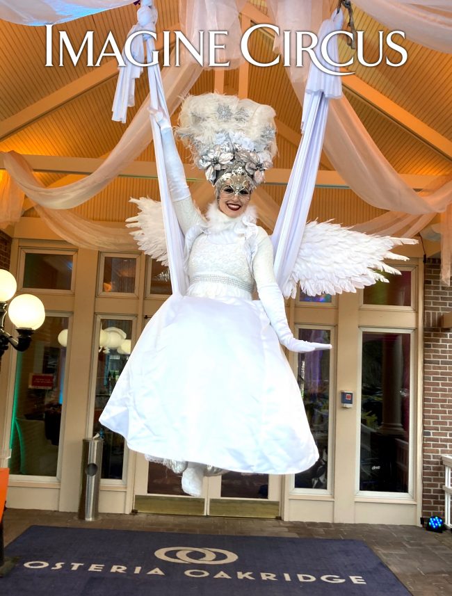 Venetian Masquerade, Imagine Circus Performers