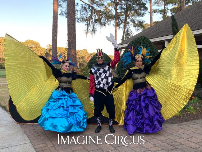 Venetian Masquerade, Juggler, Imagine Circus Performers