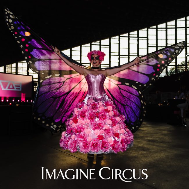 Butterfly Winged Dancers, Imagine Circus, Performers, Photo by Slater Mapp