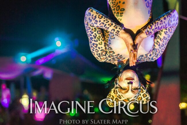 Aerial Dancer_Silks Hammock_Katie_Safari Wild Cheetah Leopard Costume_Floyd Fest Music Festival_Imagine Circus_Photo by Slater Mapp