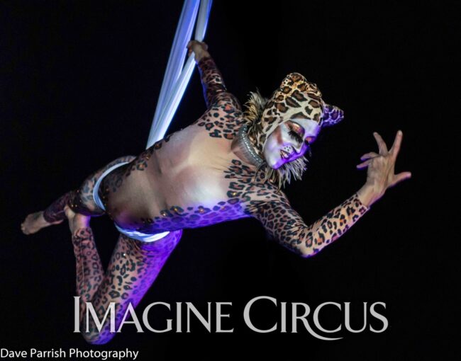 Aerial Dancer_Silks Hammock_Liz_Safari Wild Cheetah Leopard Costume_Floyd Fest Music Festival_Imagine Circus_Photo by Dave Parrish