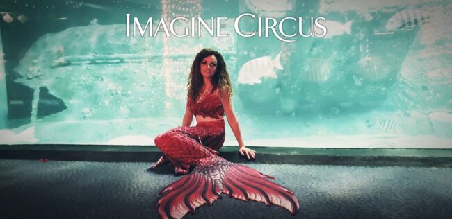 Imagine Circus Mermaid, Performer