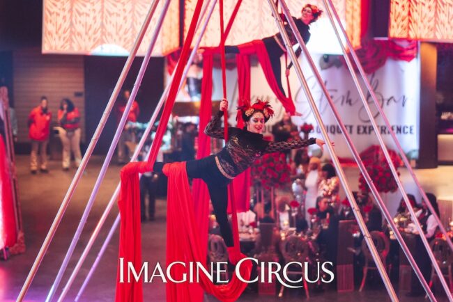 Aerial Silks, Freestanding Aerial Rigs, Imagine Circus Performers