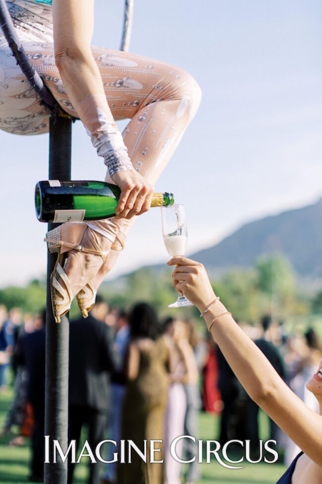 Wedding, Aerial Bartender, Champagne, Imagine Circus Performer