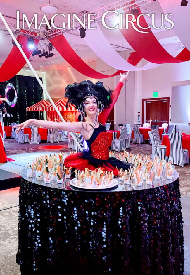 Imagine Circus, Under the Big top, Red Black Gold, Performers