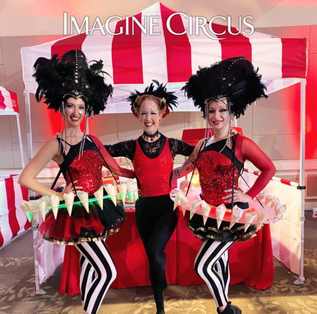 Imagine Circus, Under the Big top, Red Black Gold, Performers