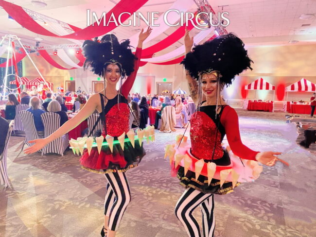 Imagine Circus, Under the Big top, Red Black Gold, Performers