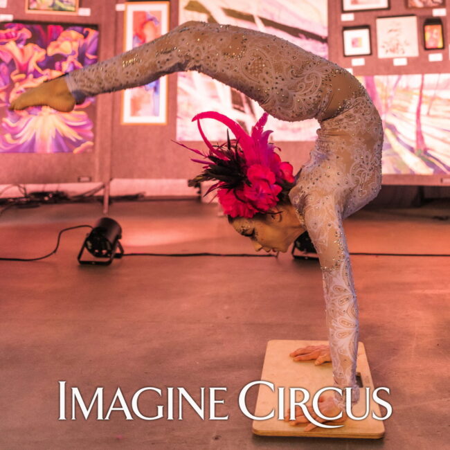 Imagine Circus, Hand Balancer, Contortionist, Acrobat, Performer