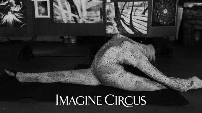 Imagine Circus, Hand Balancer, Contortionist, Acrobat, Performer