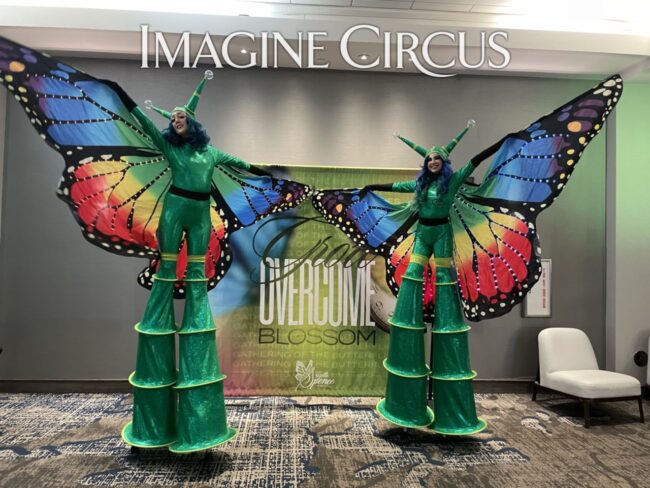 Imagine Circus Butterflies, Butterfly Stilt Walker, LED Butterfly wings, Performers