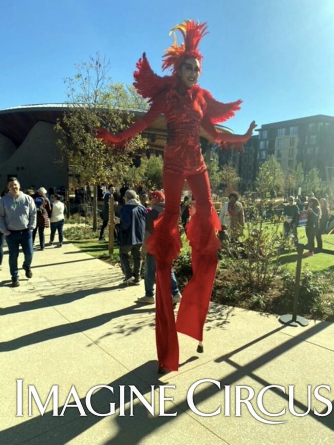 Imagine Circus, Cardinal Stilt Walker, Red Bird, Performer