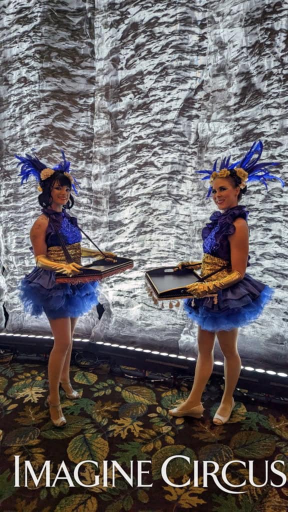 Imagine Circus, Cigar Tray Girls, Blue and Gold, Performers