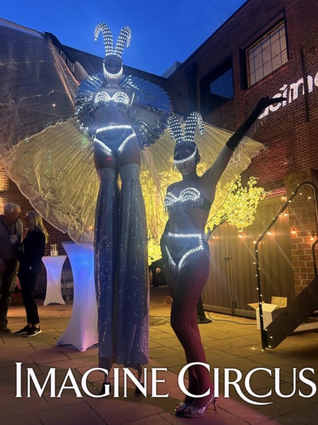 Imagine Circus, Stilt Walkers, Winged Dancers, Alien Beings