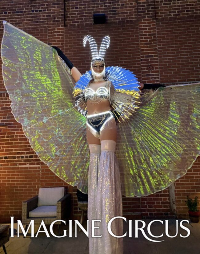 Imagine Circus, Stilt Walkers, Winged Dancers, Alien Beings